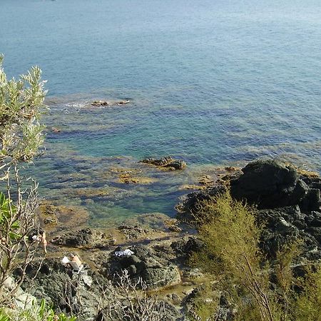 Hotel Leopoldo Castiglioncello Εξωτερικό φωτογραφία