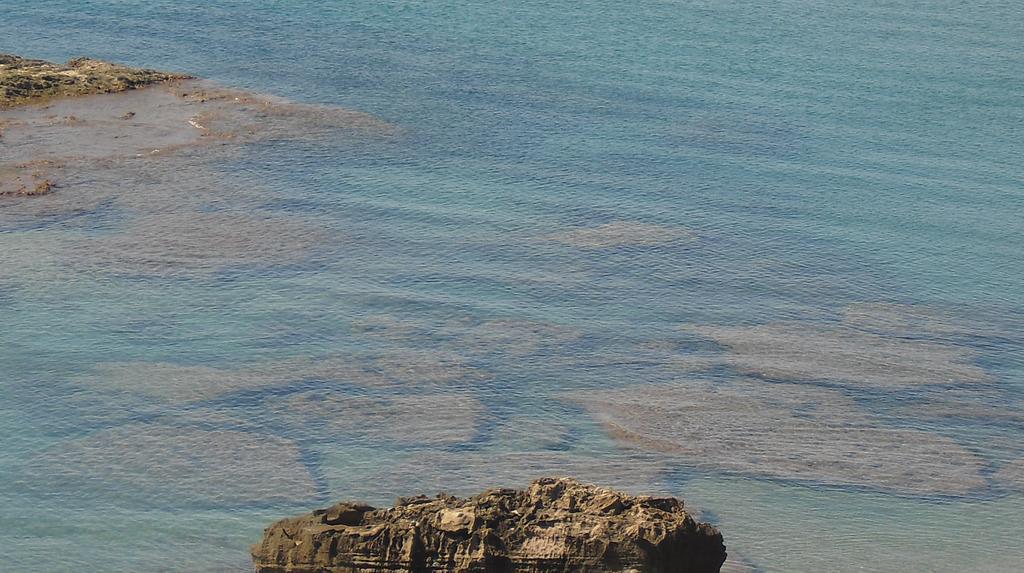 Hotel Leopoldo Castiglioncello Εξωτερικό φωτογραφία