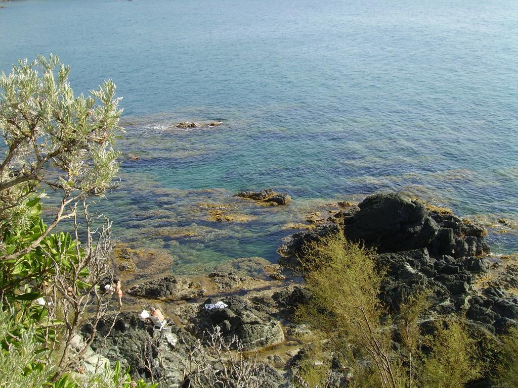Hotel Leopoldo Castiglioncello Εξωτερικό φωτογραφία